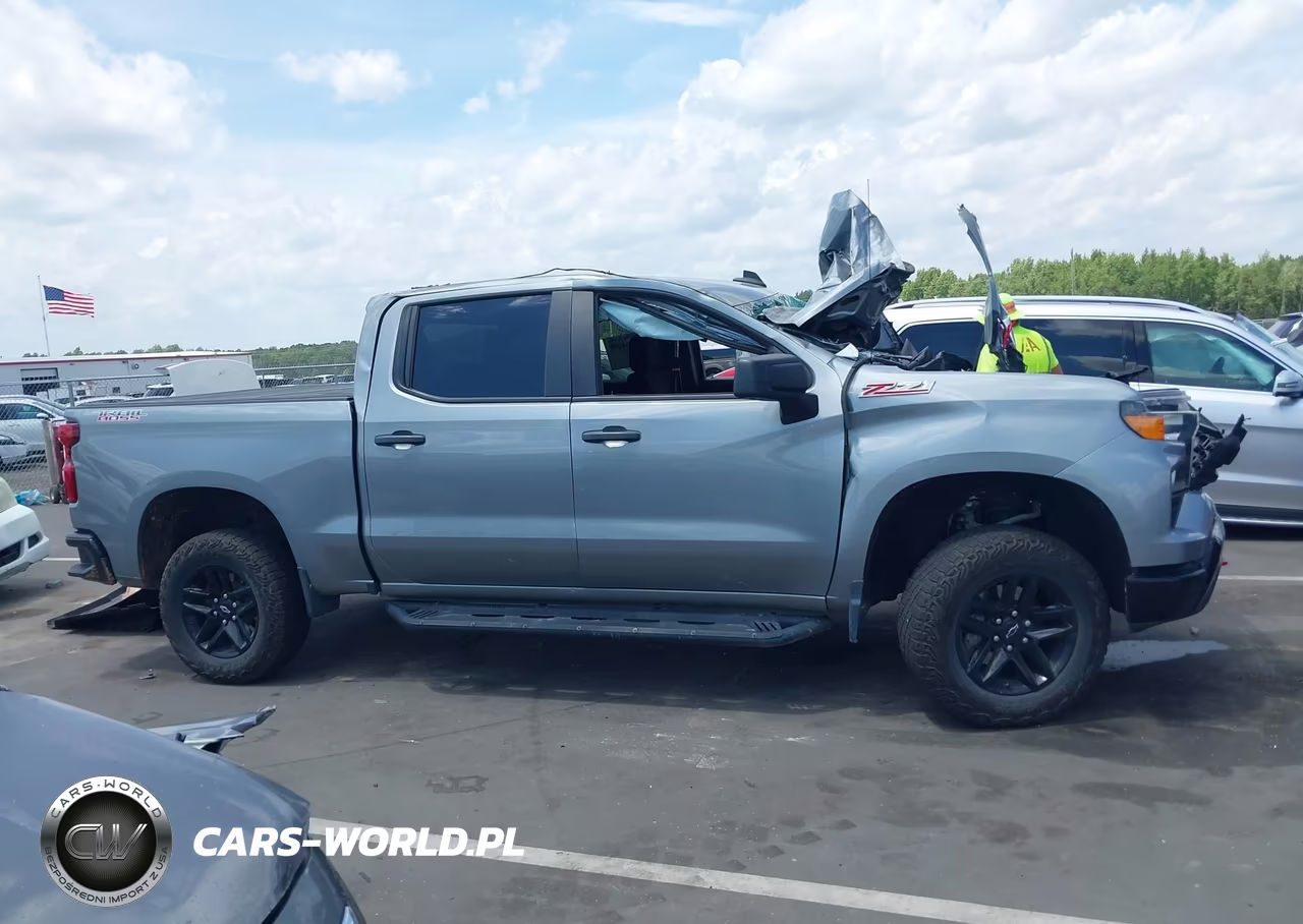 2024 Chevrolet Silverado 1500 4Wd Short Bed Custom Trail Boss VIN:3GCUDCEDXRG427195 - 12