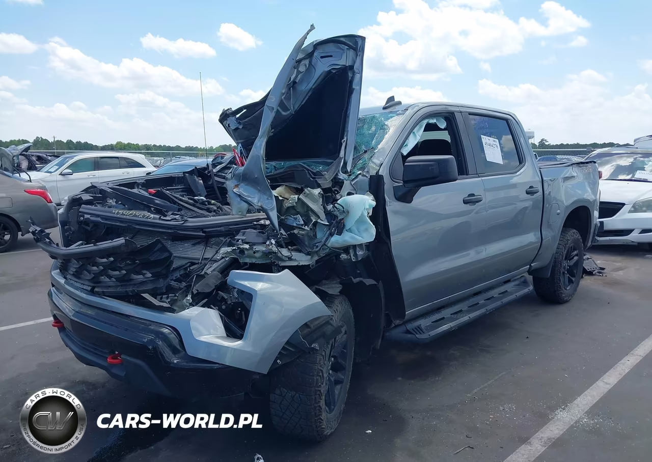 2024 Chevrolet Silverado 1500 4Wd Short Bed Custom Trail Boss VIN:3GCUDCEDXRG427195 - 2