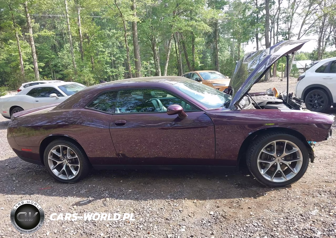 2021 Dodge Challenger Sxt VIN:2C3CDZAG4MH508009 - 13