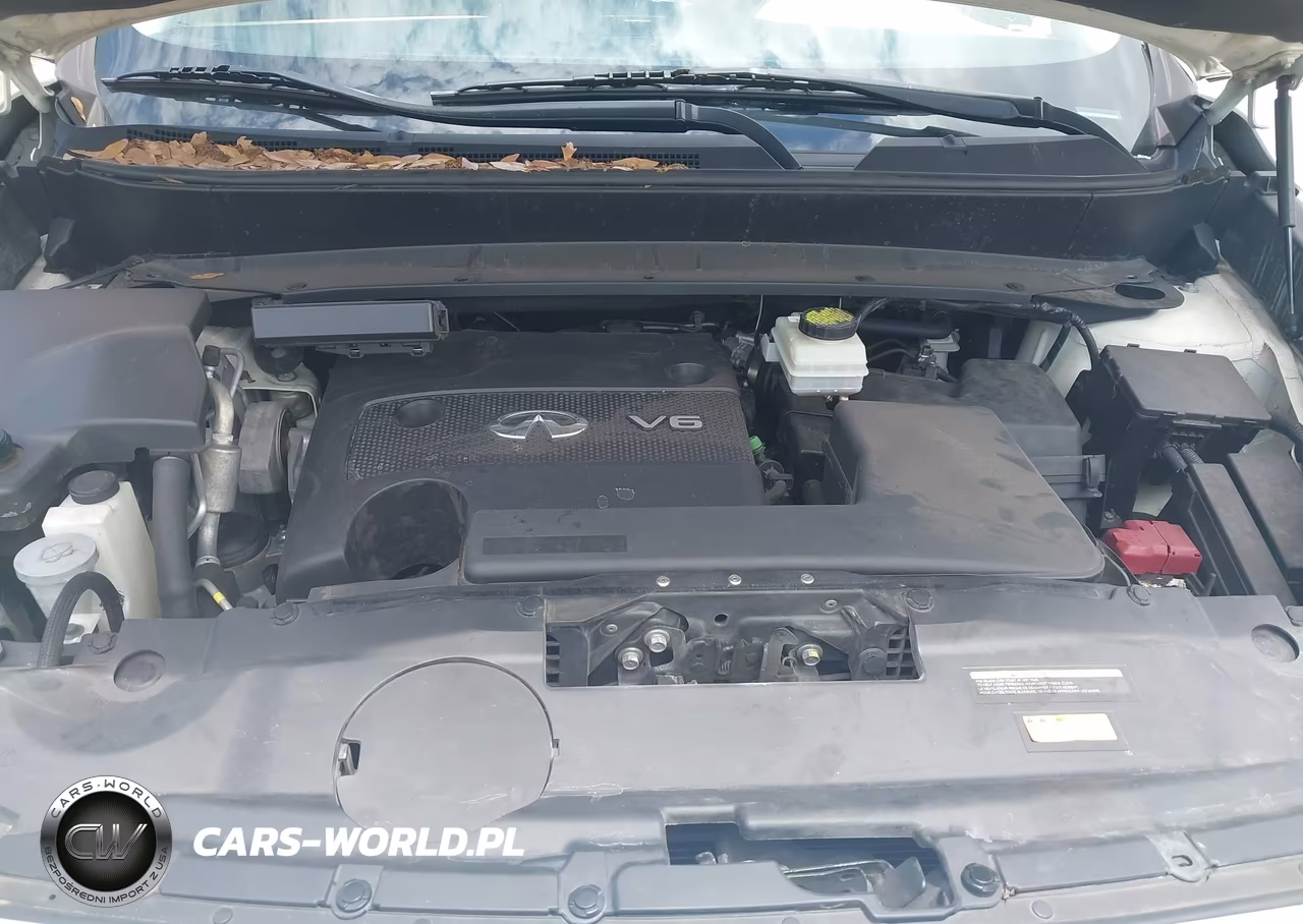 2015 Infiniti Qx60 VIN:5N1AL0MM2FC503525 - 10