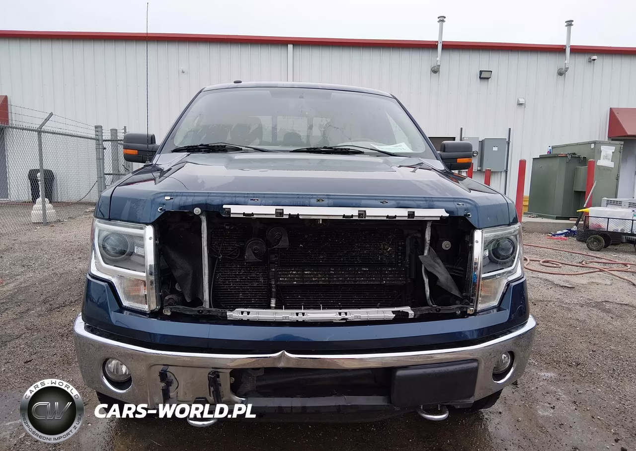 2014 Ford F-150 Xlt VIN:1FTFW1EF2EKF22524 - 12
