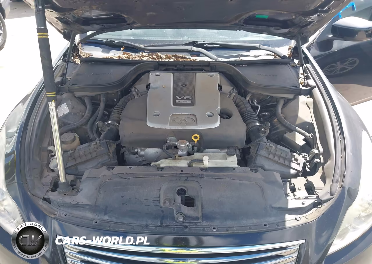 2009 Infiniti G37 VIN:JNKCV66E49M722838 - 10