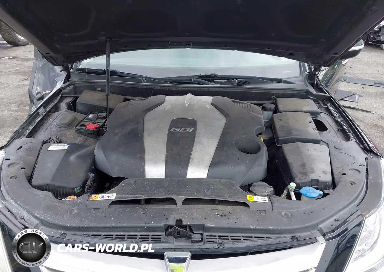 2014 Hyundai Genesis 3.8 VIN:KMHGC4DD4EU265624 - 10