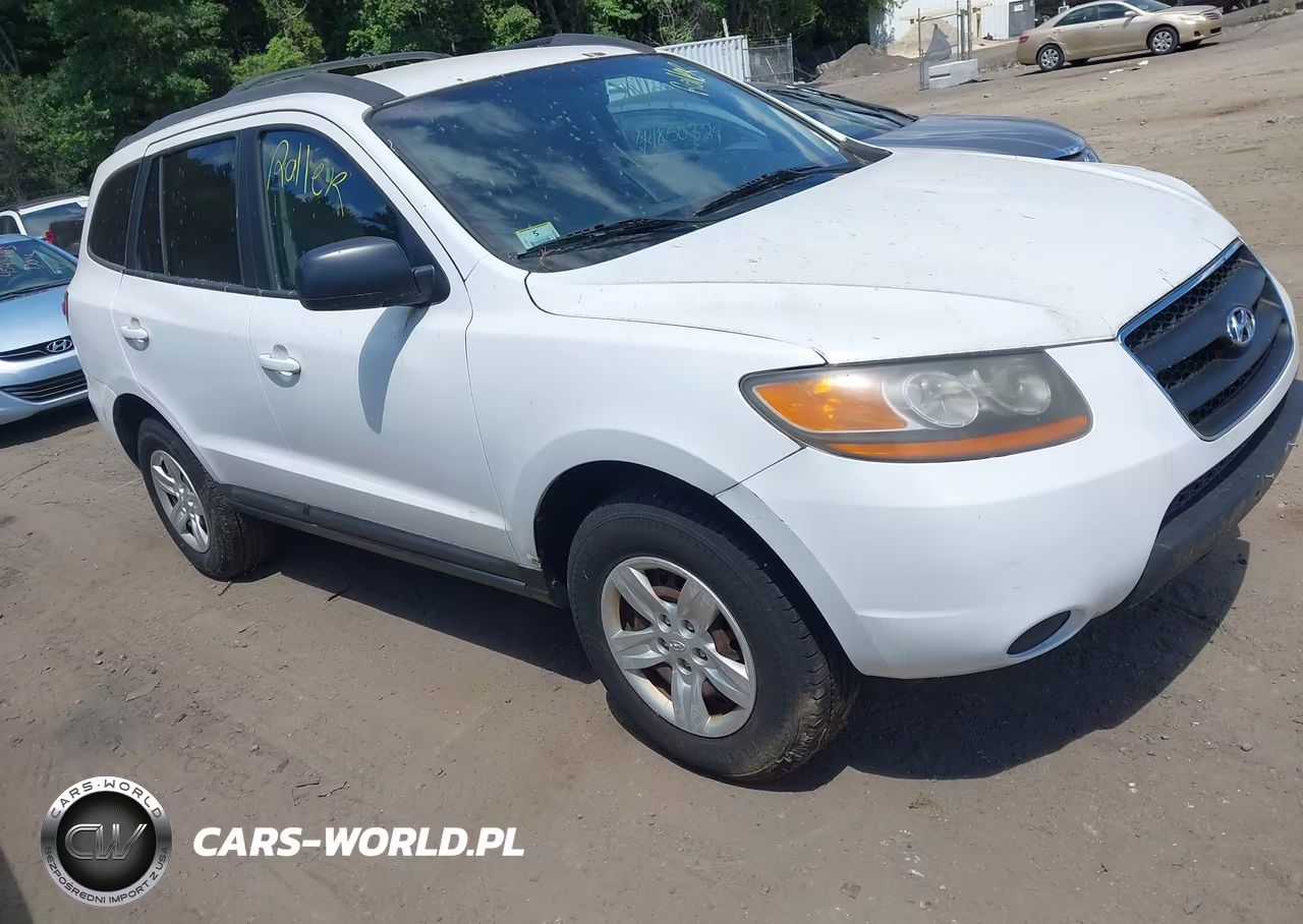 2009 Hyundai Santa Fe Gls
