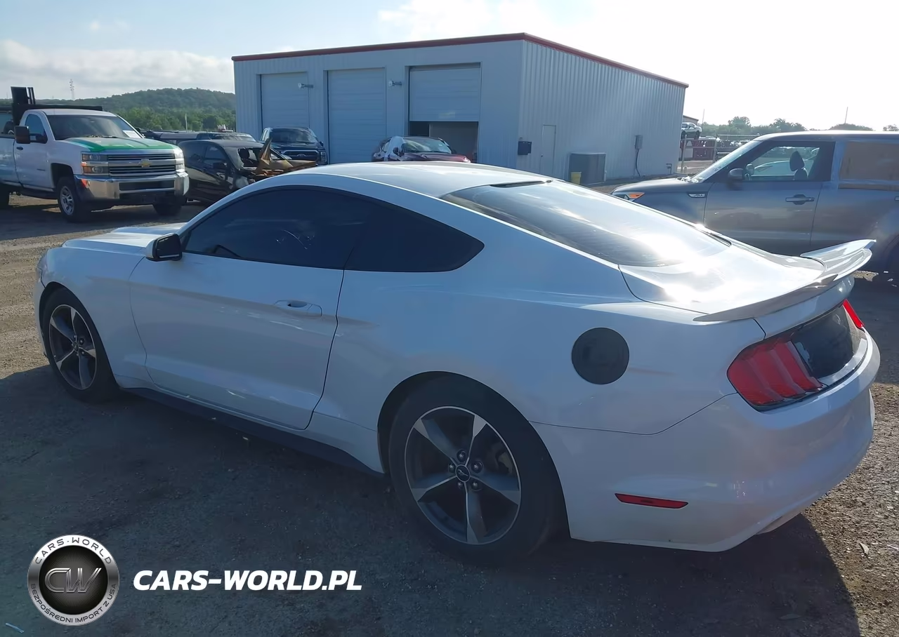 2015 Ford Mustang V6 VIN:1FA6P8AM1F5375967 - 3