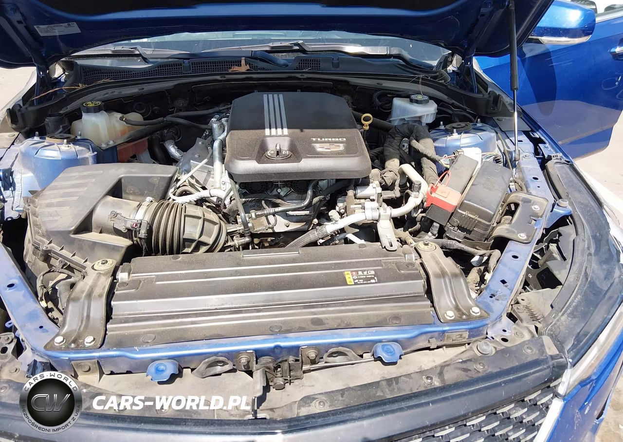 2020 Cadillac Ct4 Luxury VIN:1G6DJ5RK6L0145177 - 10