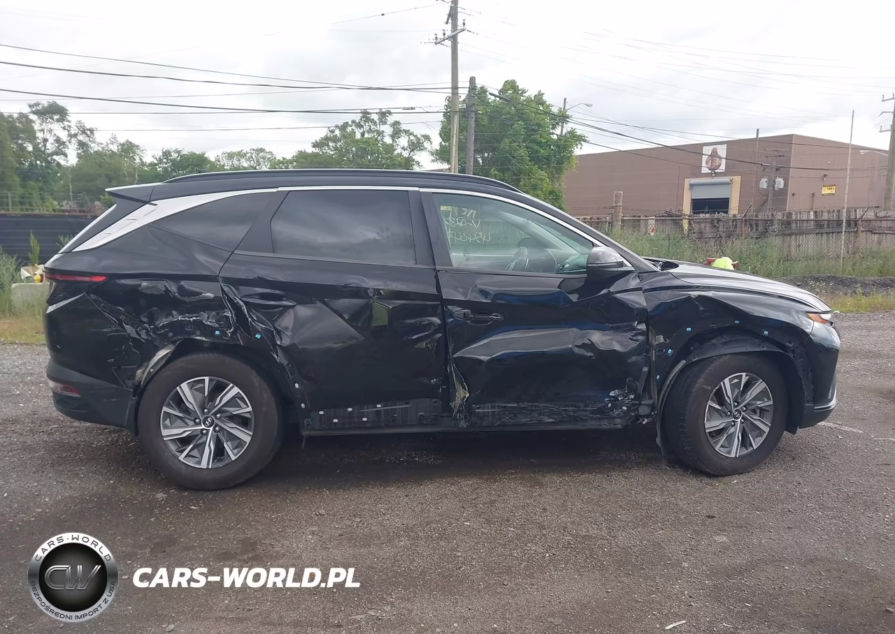 2022 Hyundai Tucson Hybrid Blue VIN:KM8JBCA18NU028227 - 13