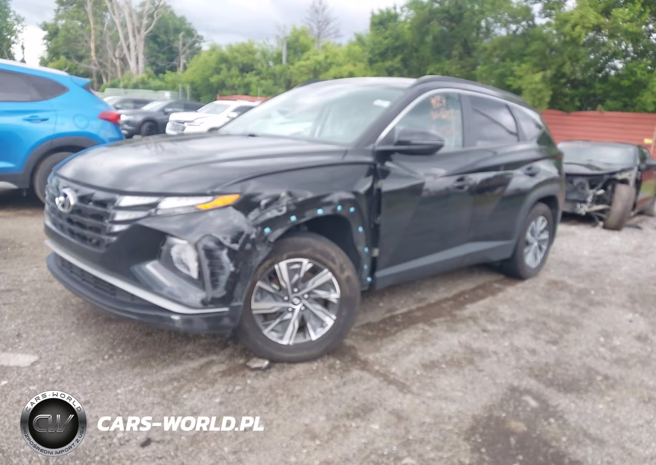 2022 Hyundai Tucson Hybrid Blue VIN:KM8JBCA18NU028227 - 2