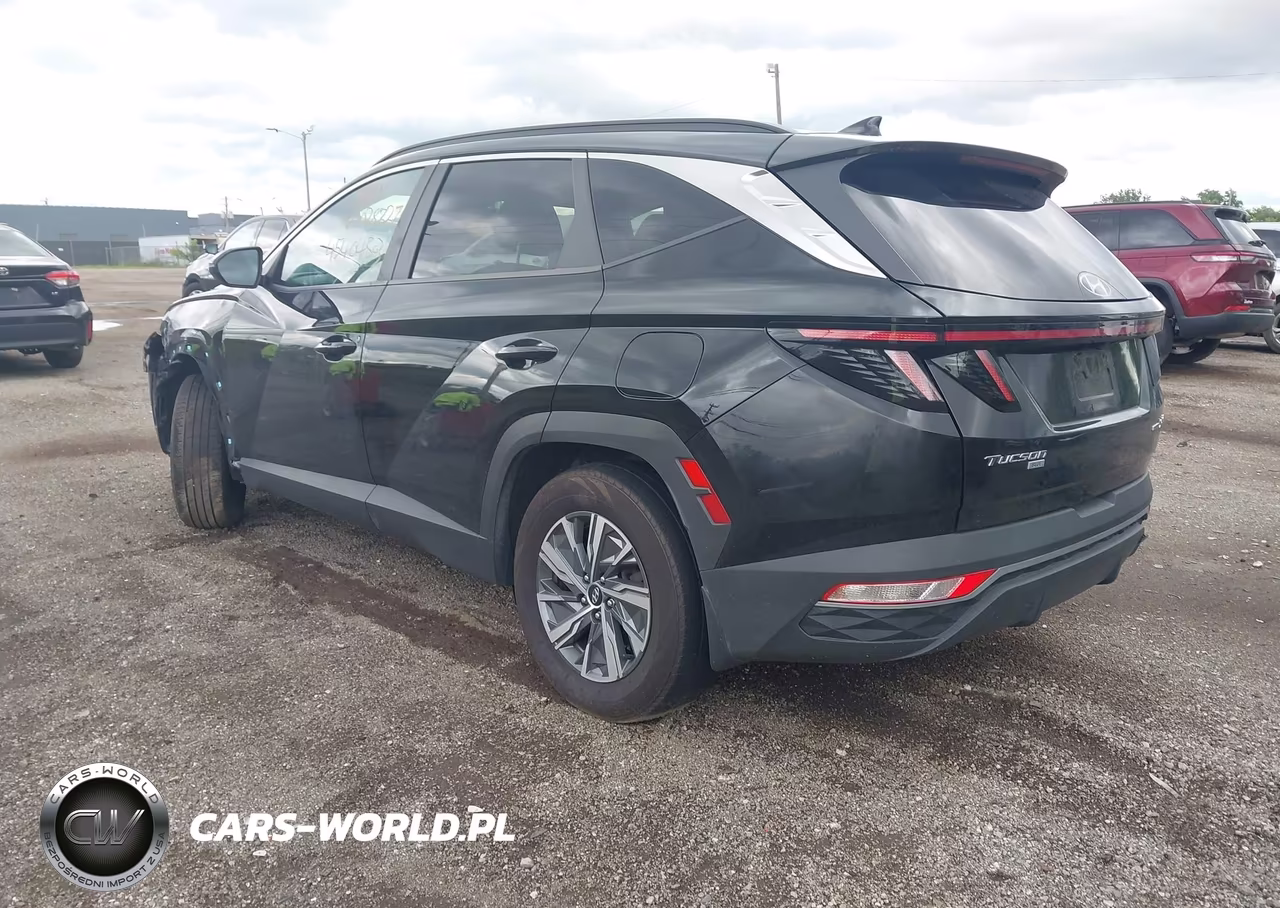 2022 Hyundai Tucson Hybrid Blue VIN:KM8JBCA18NU028227 - 3