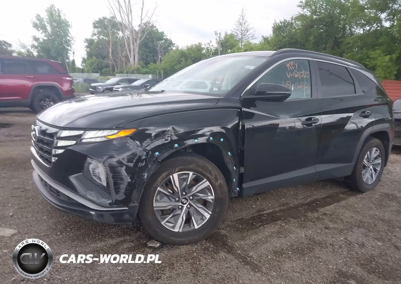 2022 Hyundai Tucson Hybrid Blue VIN:KM8JBCA18NU028227 - 6