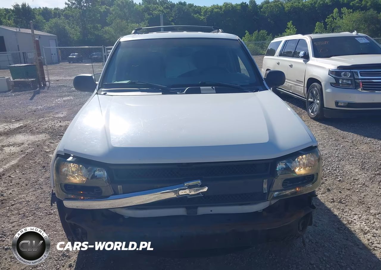 2006 Chevrolet Trailblazer Ls VIN:1GNDT13S162141112 - 13