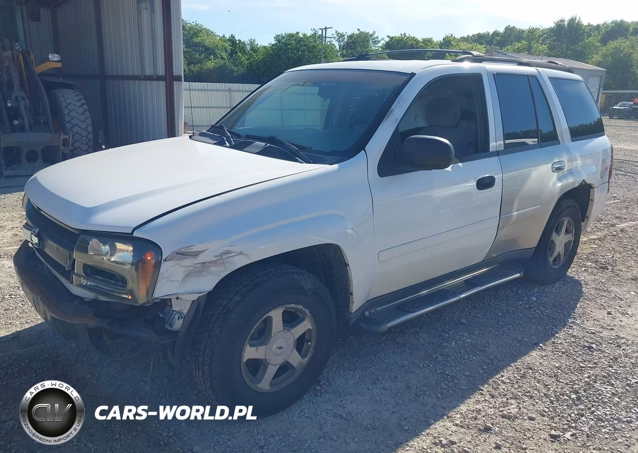 2006 Chevrolet Trailblazer Ls VIN:1GNDT13S162141112 - 2