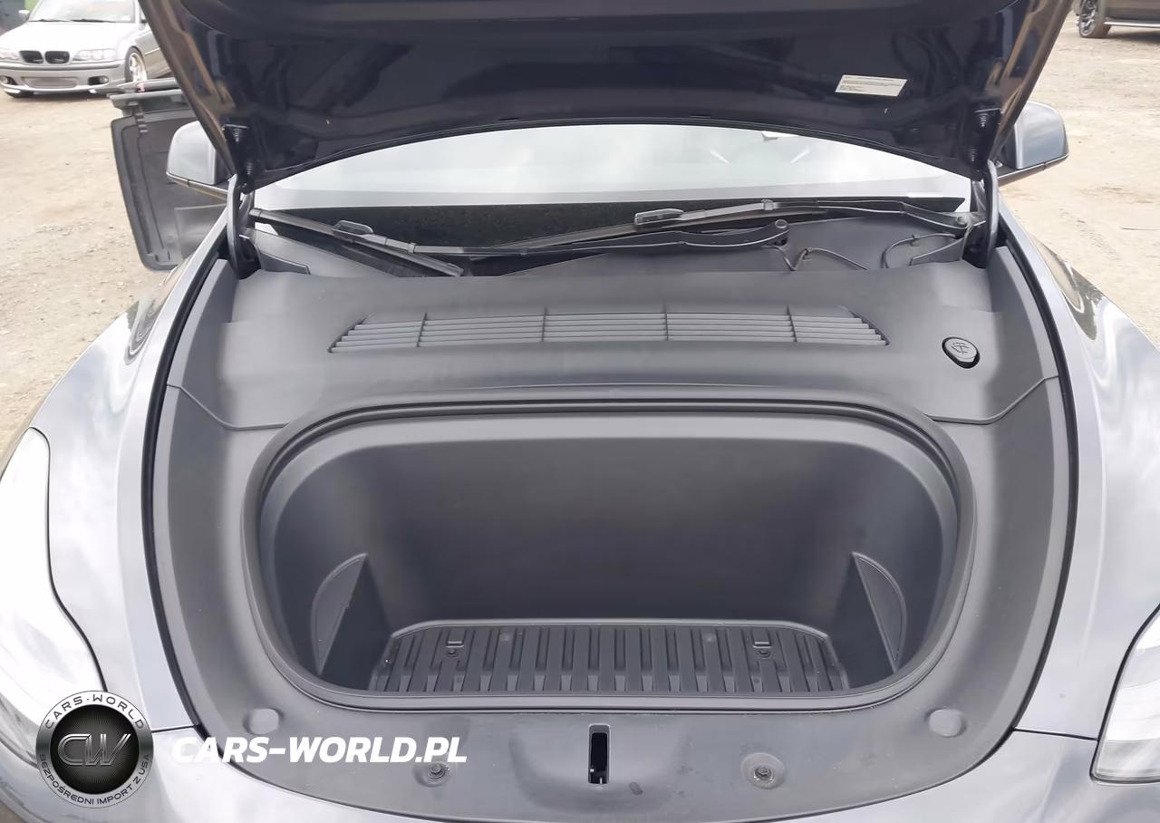 2024 Tesla Model Y Long Range Dual Motor All-Wheel Drive VIN:7SAYGDEE0RA281645 - 10