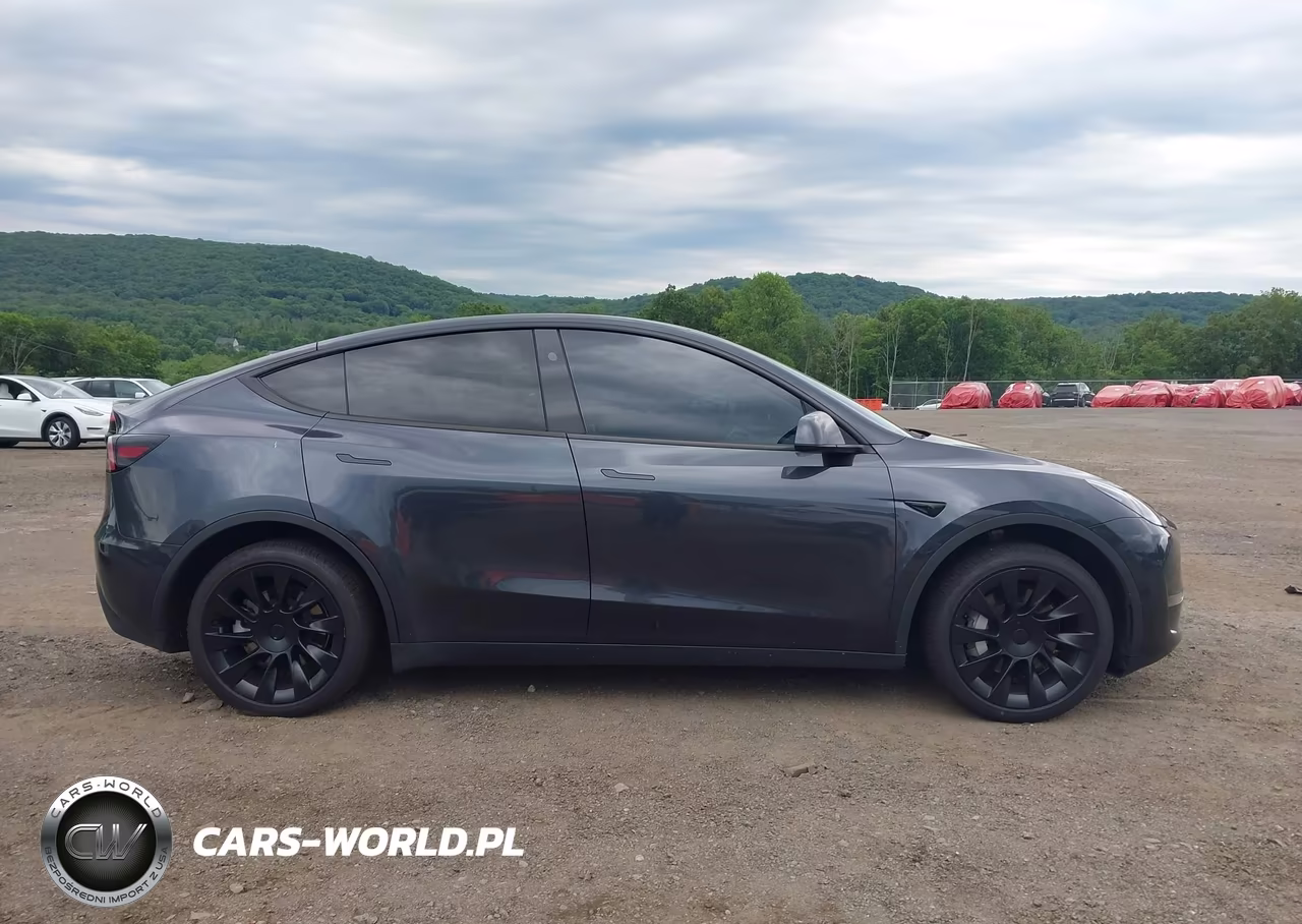 2024 Tesla Model Y Long Range Dual Motor All-Wheel Drive VIN:7SAYGDEE0RA281645 - 12
