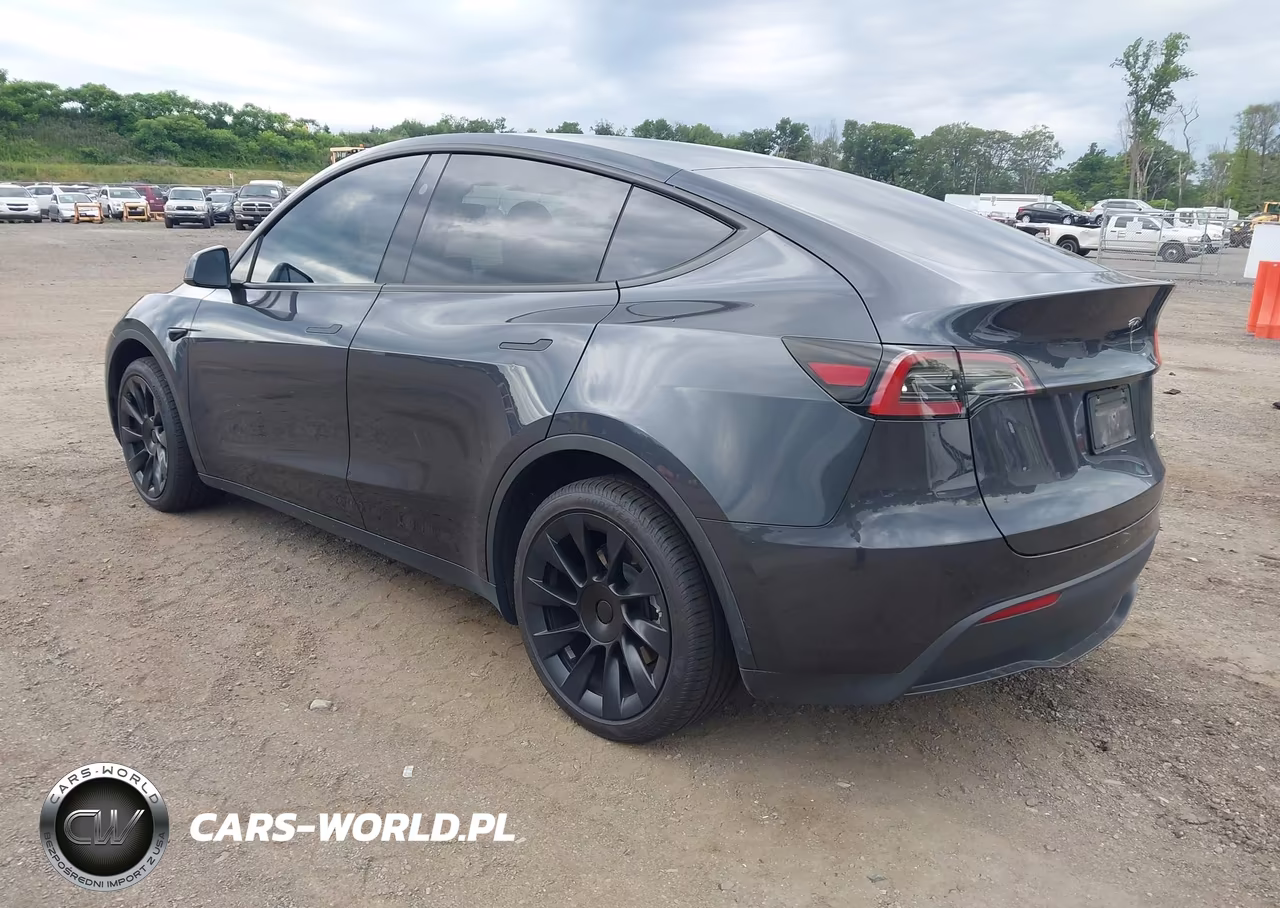 2024 Tesla Model Y Long Range Dual Motor All-Wheel Drive VIN:7SAYGDEE0RA281645 - 3