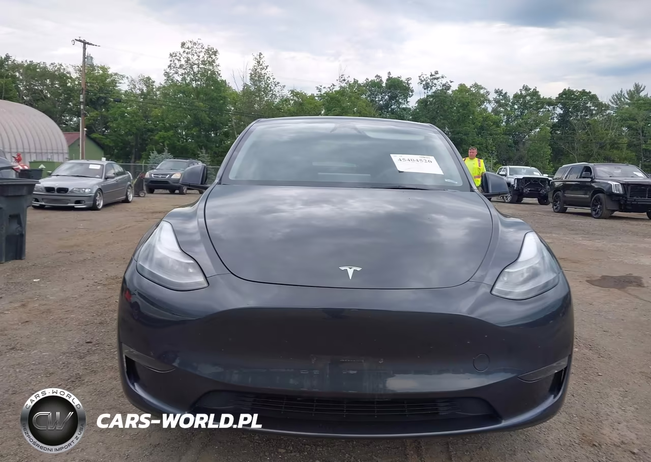 2024 Tesla Model Y Long Range Dual Motor All-Wheel Drive VIN:7SAYGDEE0RA281645 - 6