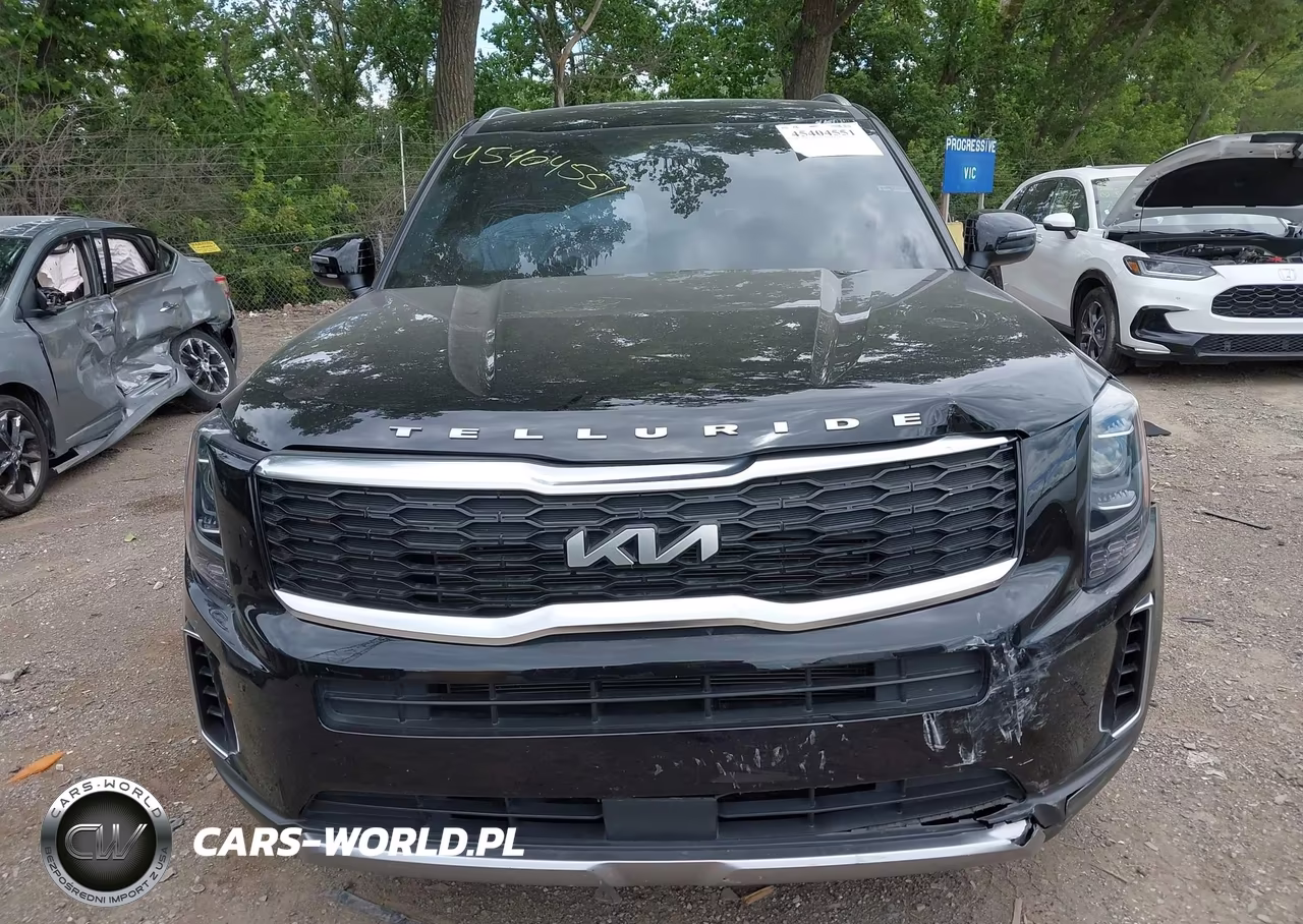 2022 Kia Telluride Ex VIN:5XYP34HCXNG259088 - 12