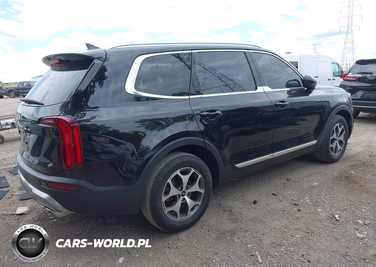 2022 Kia Telluride Ex VIN:5XYP34HCXNG259088 - 4
