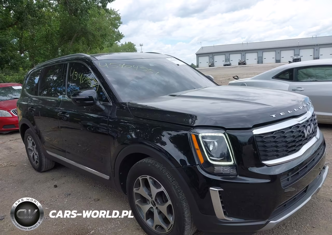 2022 Kia Telluride Ex VIN:5XYP34HCXNG259088 - 6