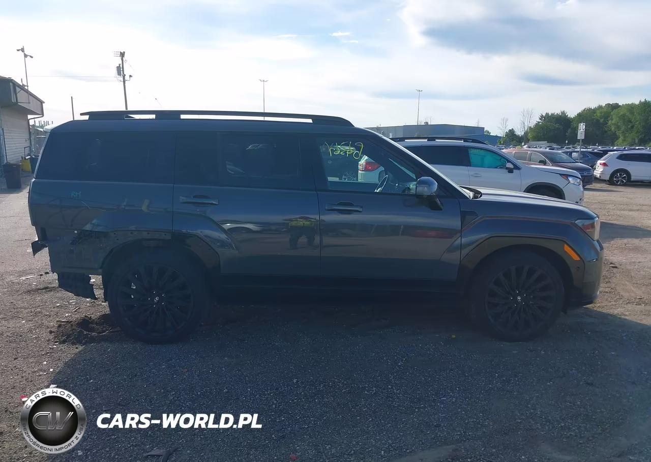 2025 Hyundai Santa Fe Calligraphy VIN:5NMP5DGL0SH089188 - 13