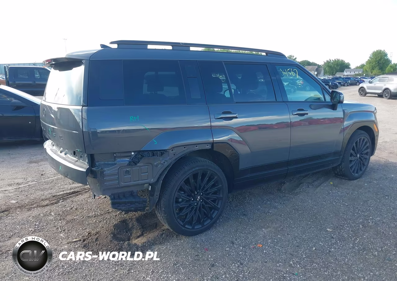 2025 Hyundai Santa Fe Calligraphy VIN:5NMP5DGL0SH089188 - 4