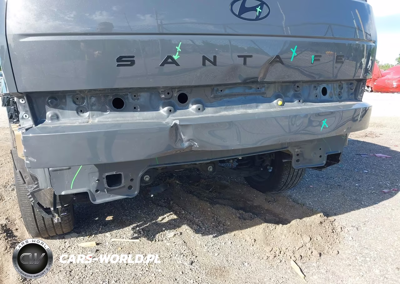 2025 Hyundai Santa Fe Calligraphy VIN:5NMP5DGL0SH089188 - 6