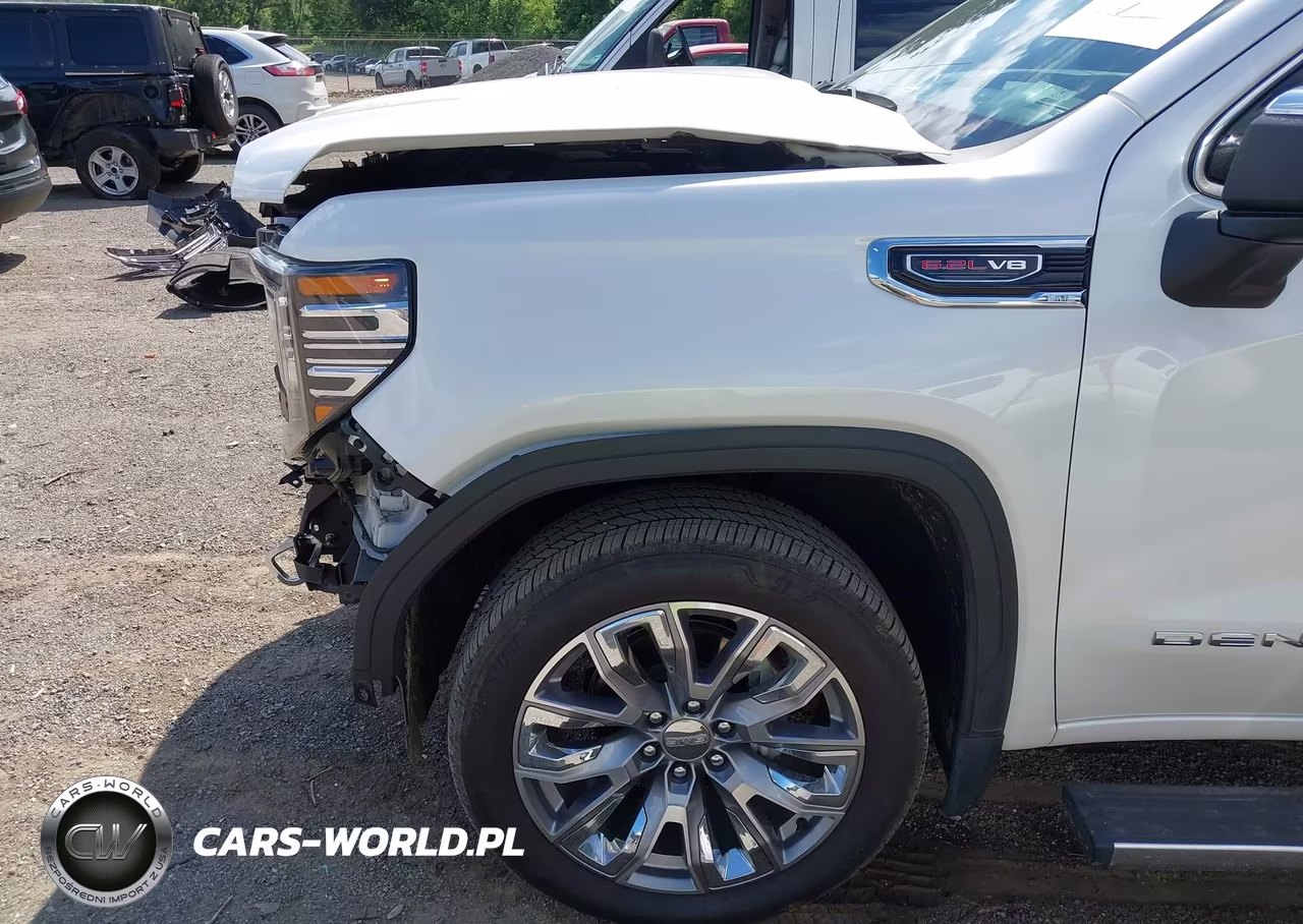 2023 GMC Sierra 1500 4Wd Short Box Denali VIN:1GTUUGEL7PZ217505 - 19