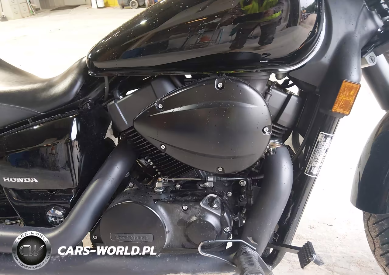 2015 Honda Vt750 C2B VIN:JH2RC5370FK501429 - 8