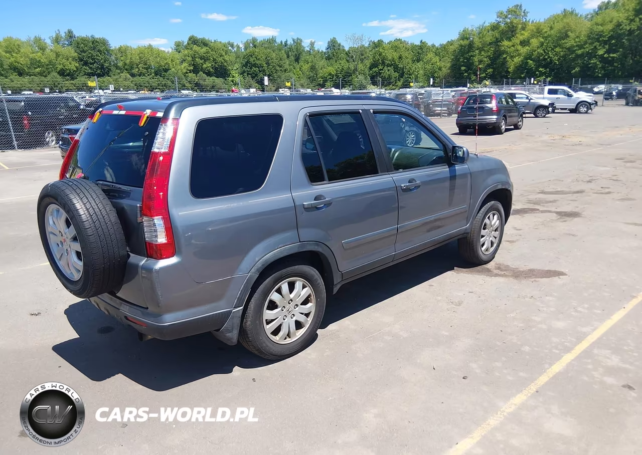 2005 Honda Cr-V Se VIN:JHLRD789X5C008803 - 4