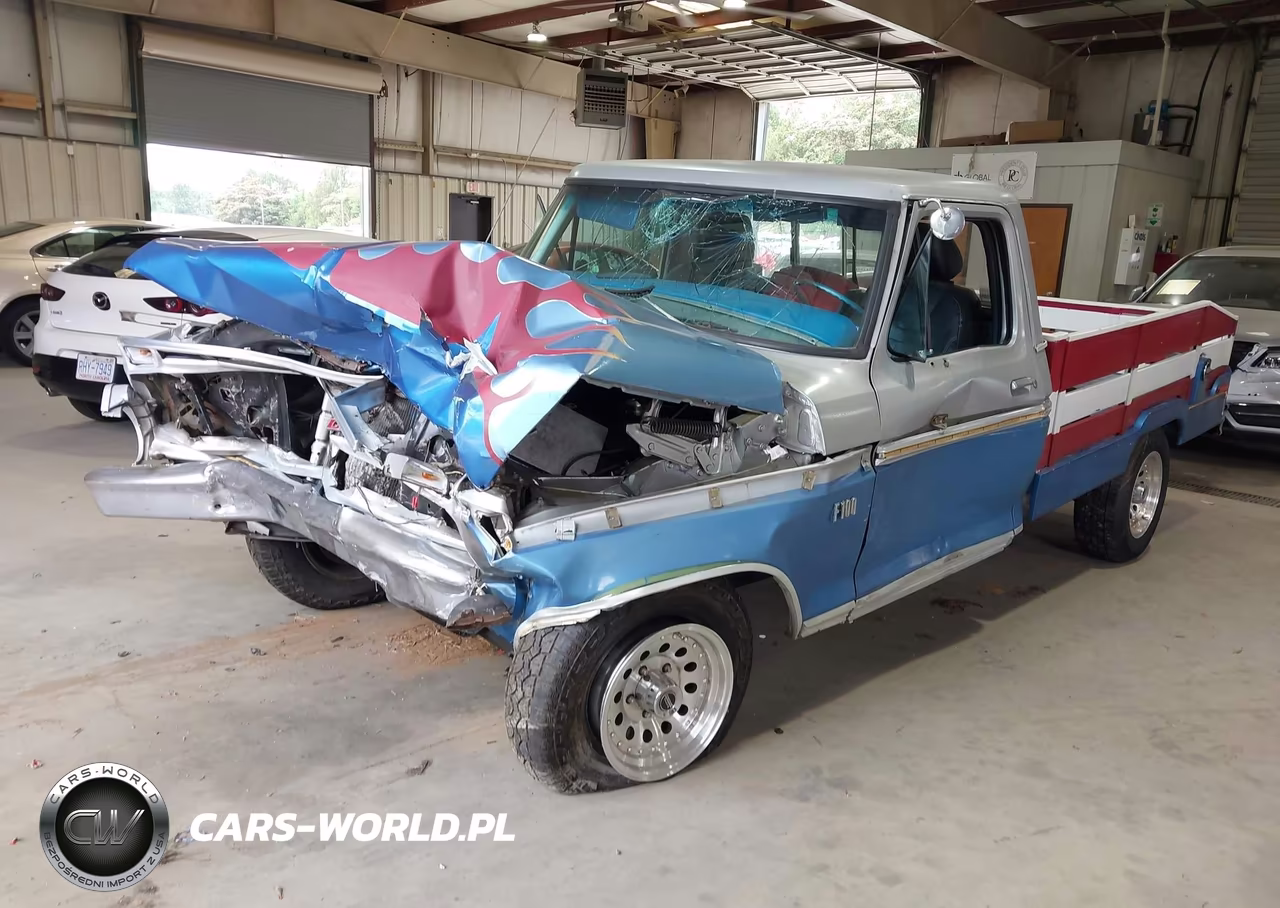 1974 Ford F100 VIN:000000F10HNS42713 - 2