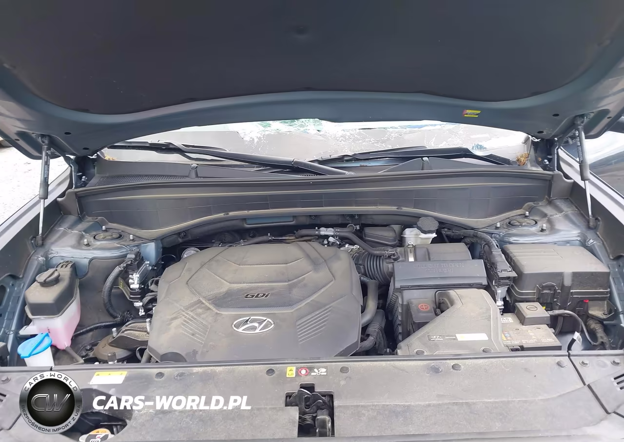2024 Hyundai Palisade Sel VIN:KM8R4DGE3RU679560 - 10