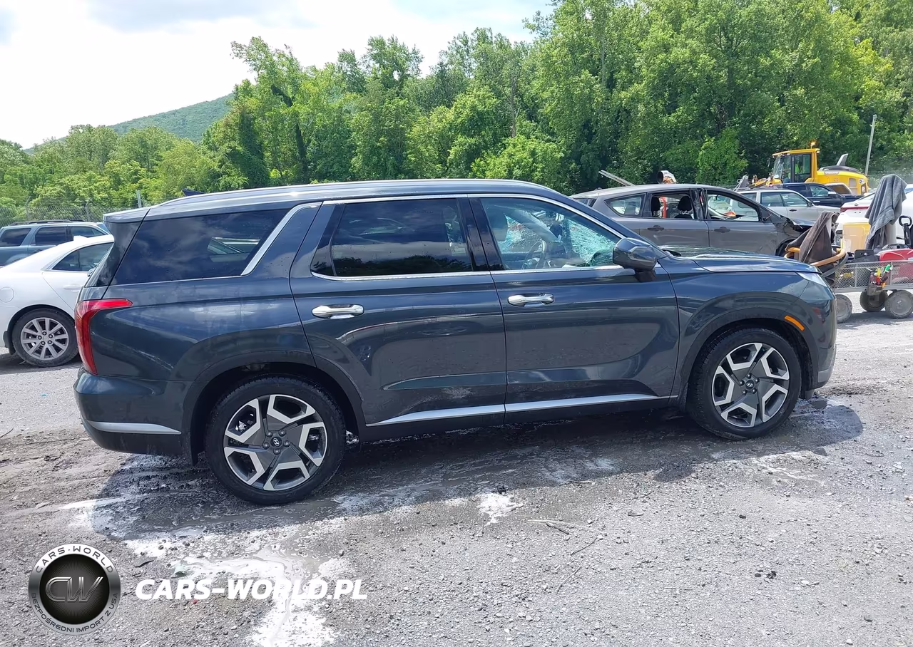 2024 Hyundai Palisade Sel VIN:KM8R4DGE3RU679560 - 14