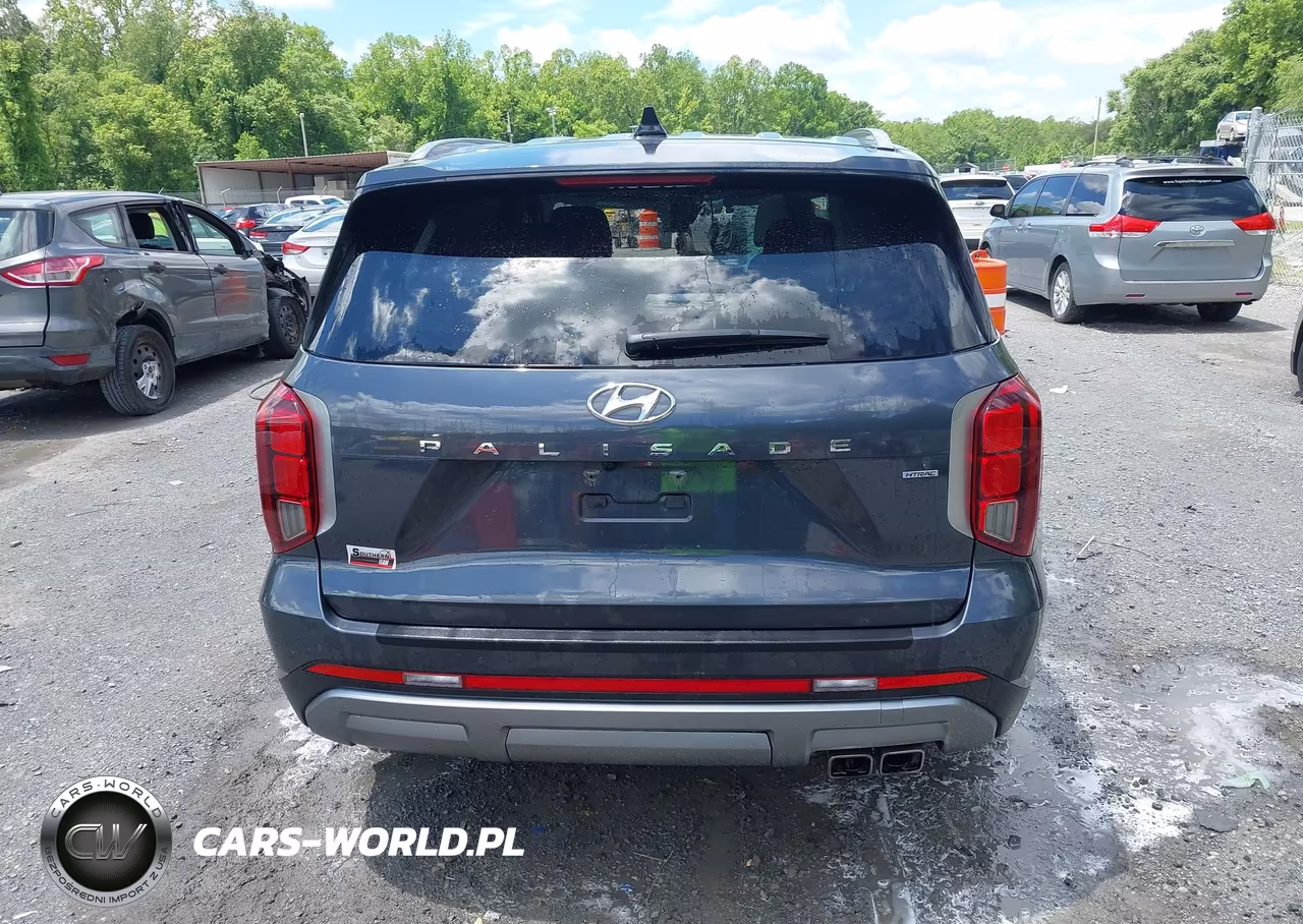 2024 Hyundai Palisade Sel VIN:KM8R4DGE3RU679560 - 17