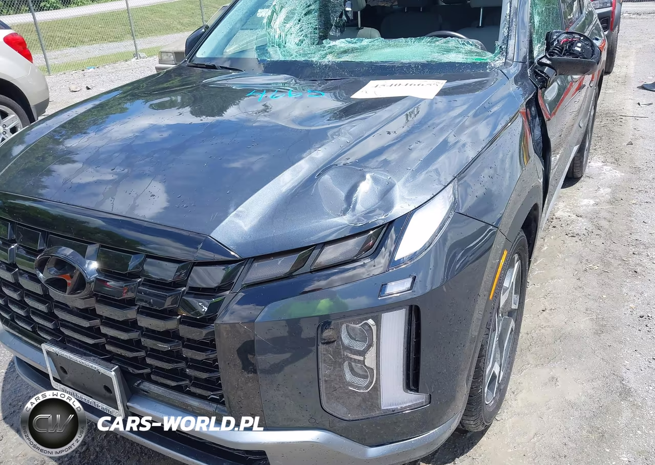 2024 Hyundai Palisade Sel VIN:KM8R4DGE3RU679560 - 6