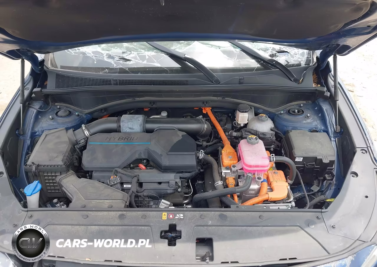 2023 Hyundai Santa Fe Hybrid Limited VIN:5NMS5DA16PH009319 - 10