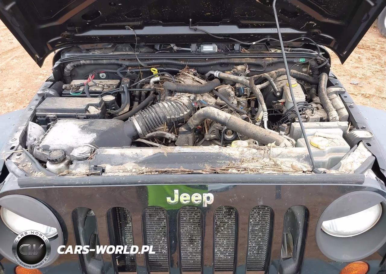 2010 Jeep Wrangler Sport VIN:1J4AA2D17AL205681 - 10