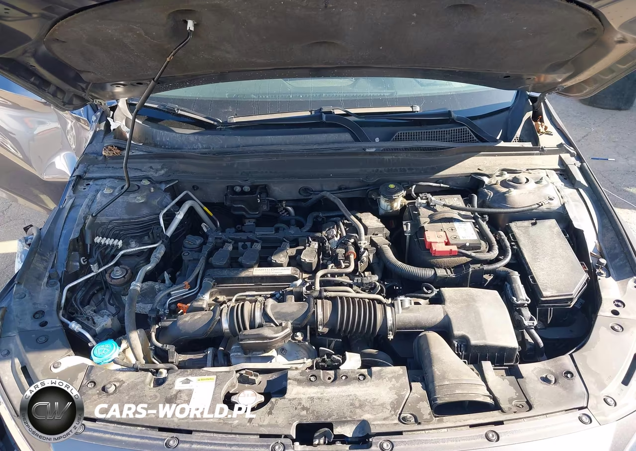 2019 Honda Accord Lx VIN:1HGCV1F12KA169956 - 10