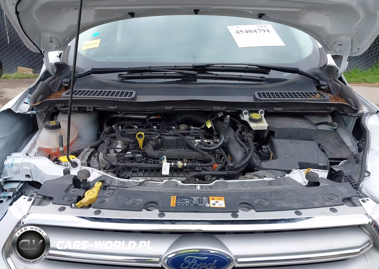 2019 Ford Escape Se VIN:1FMCU9GD4KUB81383 - 10