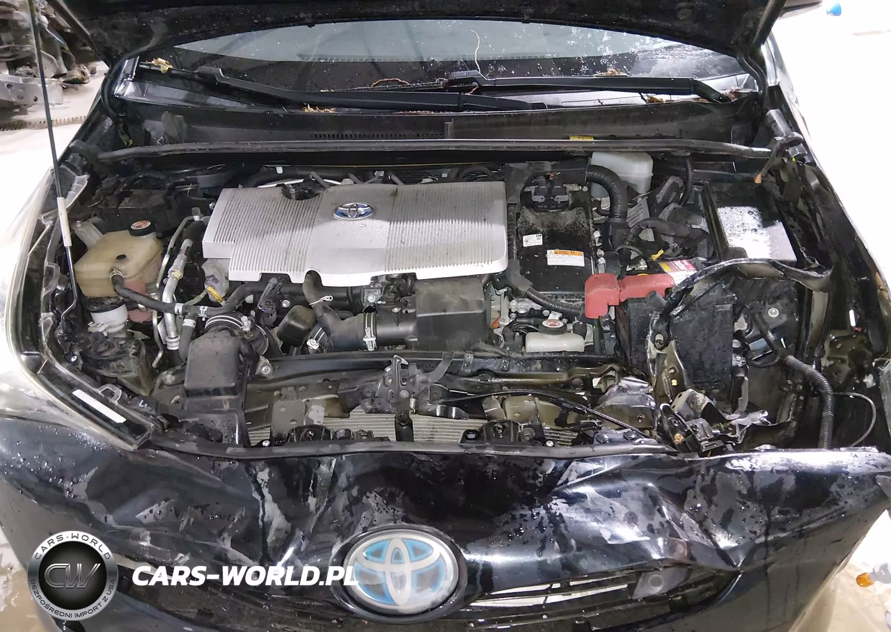 2018 Toyota Prius VIN:JTDKARFU9J3545487 - 10