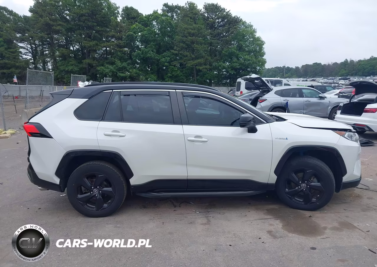 2019 Toyota Rav4 Hybrid Xse VIN:JTMEWRFVXKJ014089 - 13