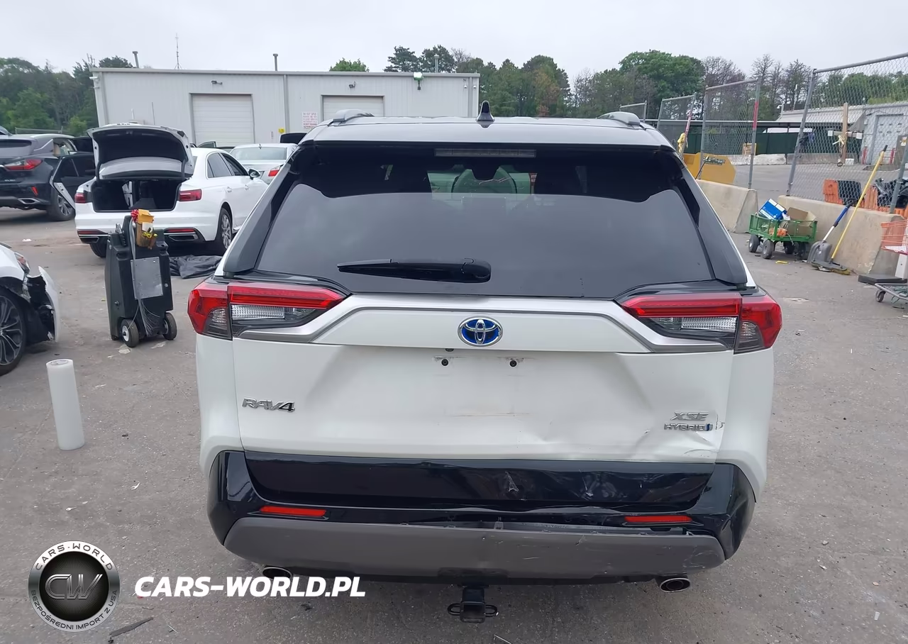 2019 Toyota Rav4 Hybrid Xse VIN:JTMEWRFVXKJ014089 - 16