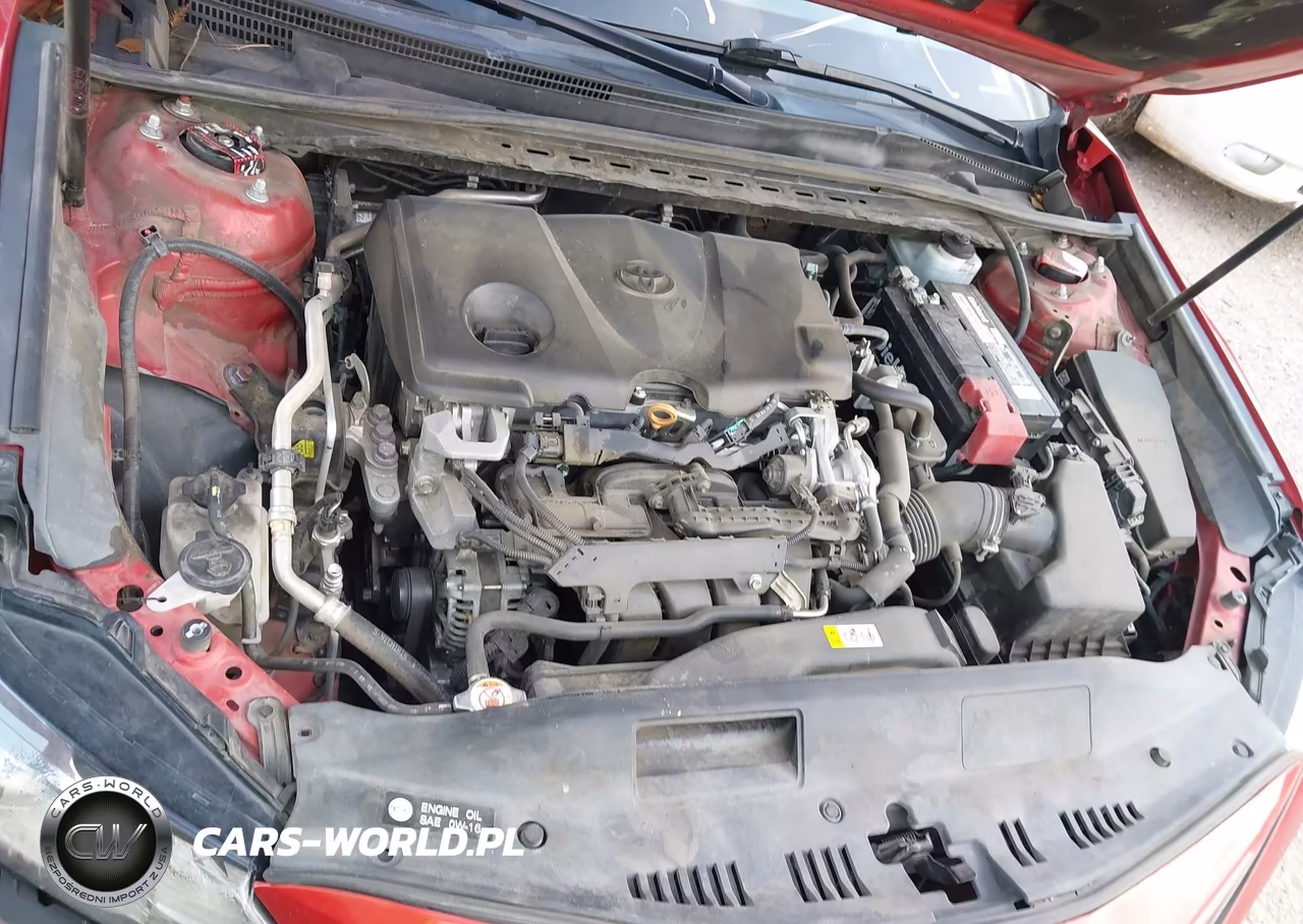 2019 Toyota Camry Xse VIN:4T1B61HK1KU185928 - 10