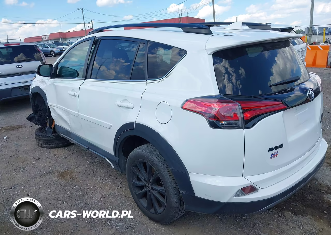 2018 Toyota Rav4 Adventure VIN:2T3RFREV9JW795108 - 3
