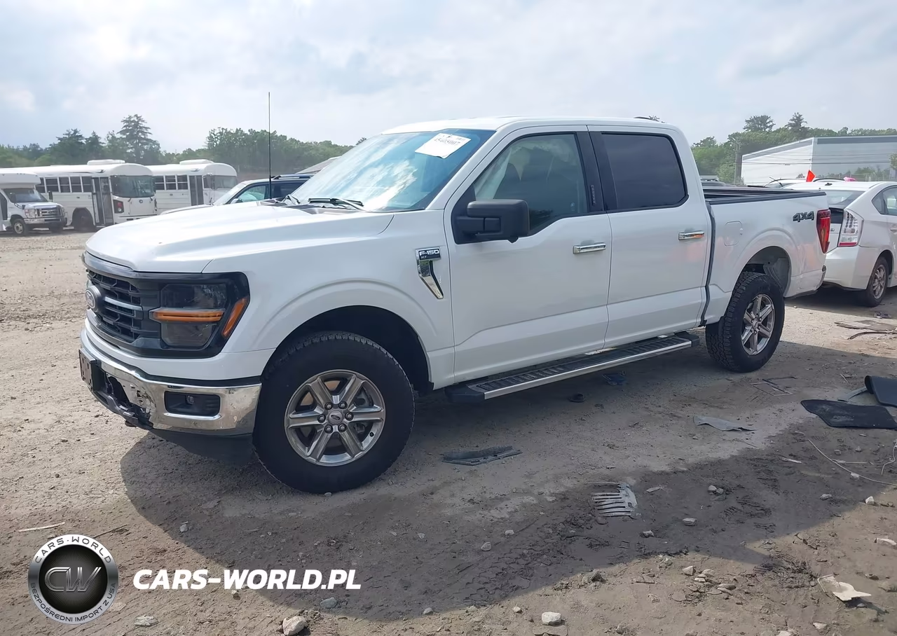 2024 Ford F-150 Xlt VIN:1FTFW3L86RKD64761 - 2