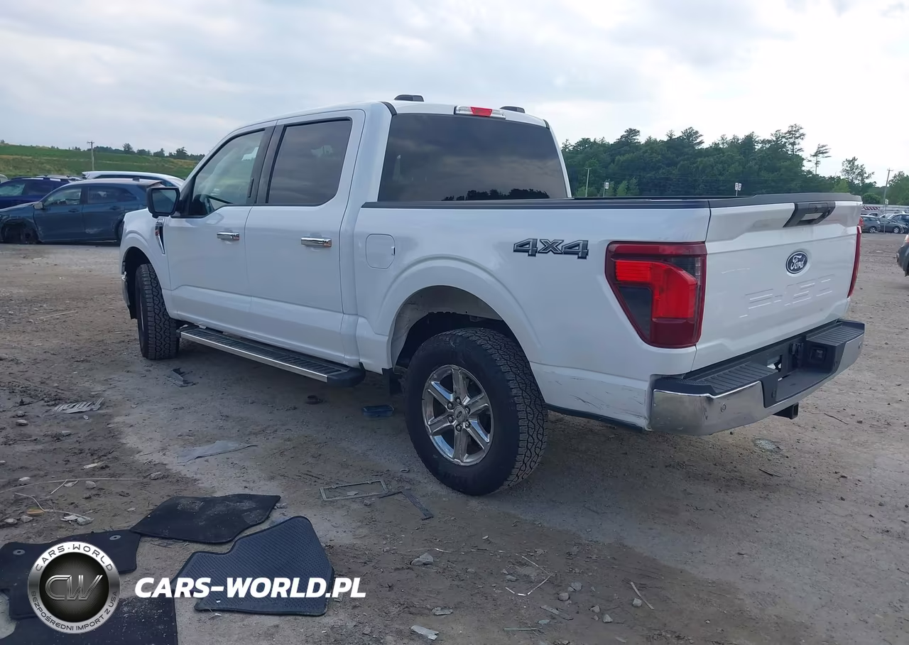 2024 Ford F-150 Xlt VIN:1FTFW3L86RKD64761 - 3