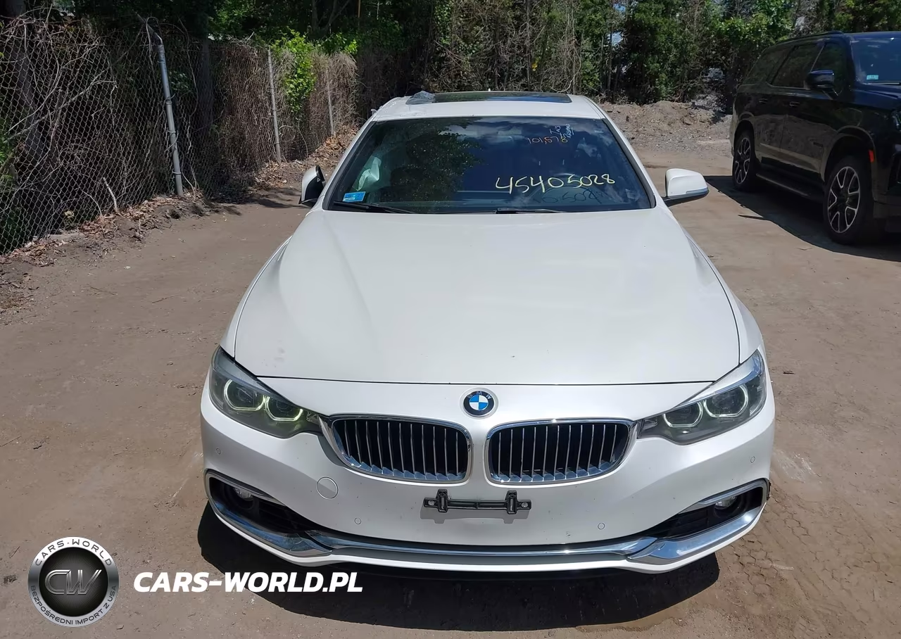 2019 BMW 430I Gran Coupe xDrive VIN:WBA4J3C5XKBL05341 - 12
