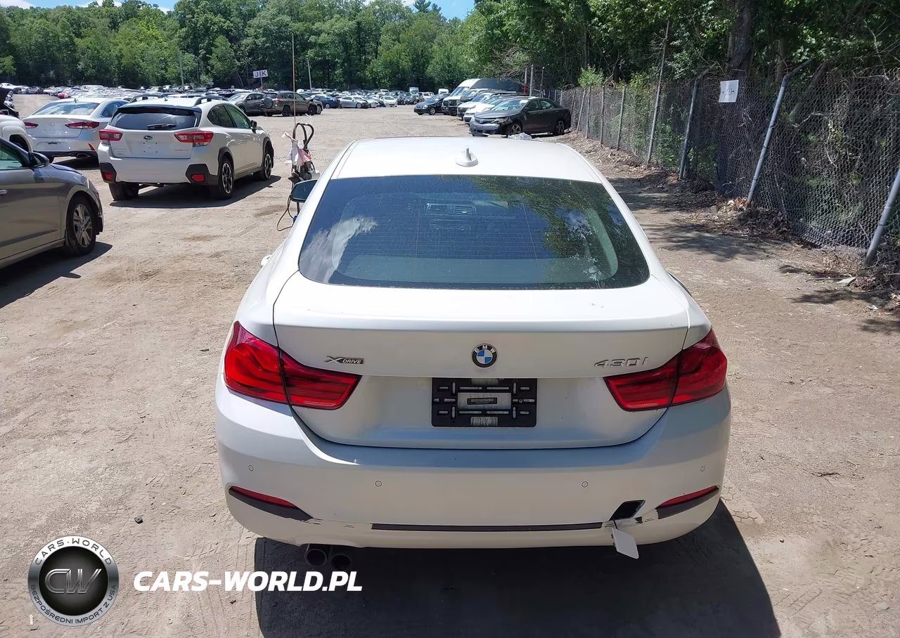 2019 BMW 430I Gran Coupe xDrive VIN:WBA4J3C5XKBL05341 - 16