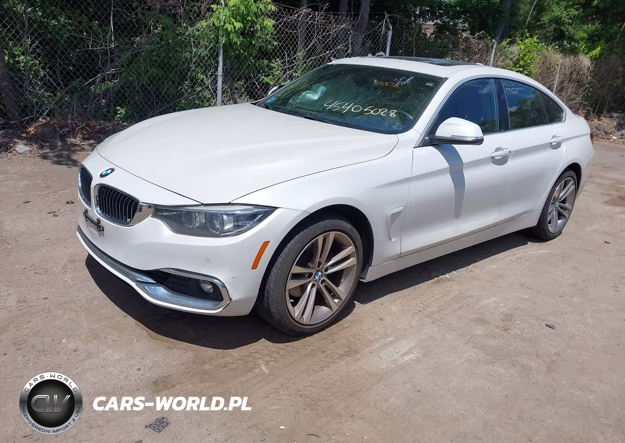 2019 BMW 430I Gran Coupe xDrive VIN:WBA4J3C5XKBL05341 - 2
