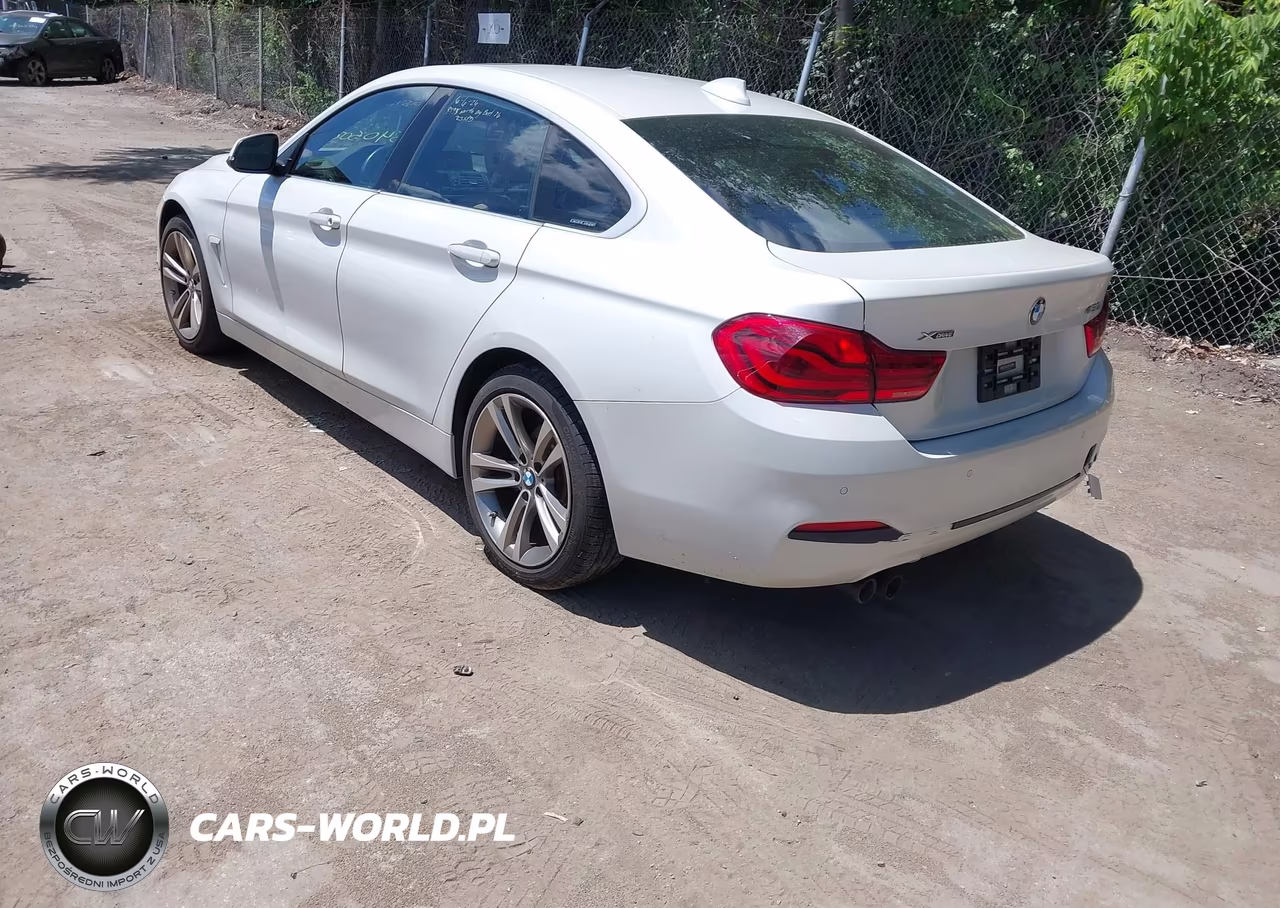 2019 BMW 430I Gran Coupe xDrive VIN:WBA4J3C5XKBL05341 - 3