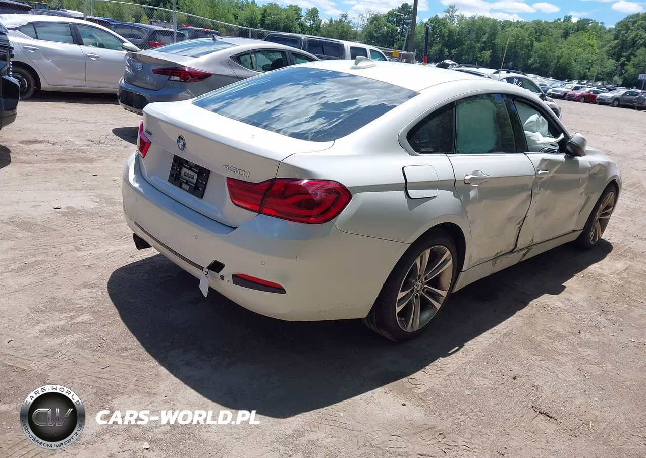 2019 BMW 430I Gran Coupe xDrive VIN:WBA4J3C5XKBL05341 - 4